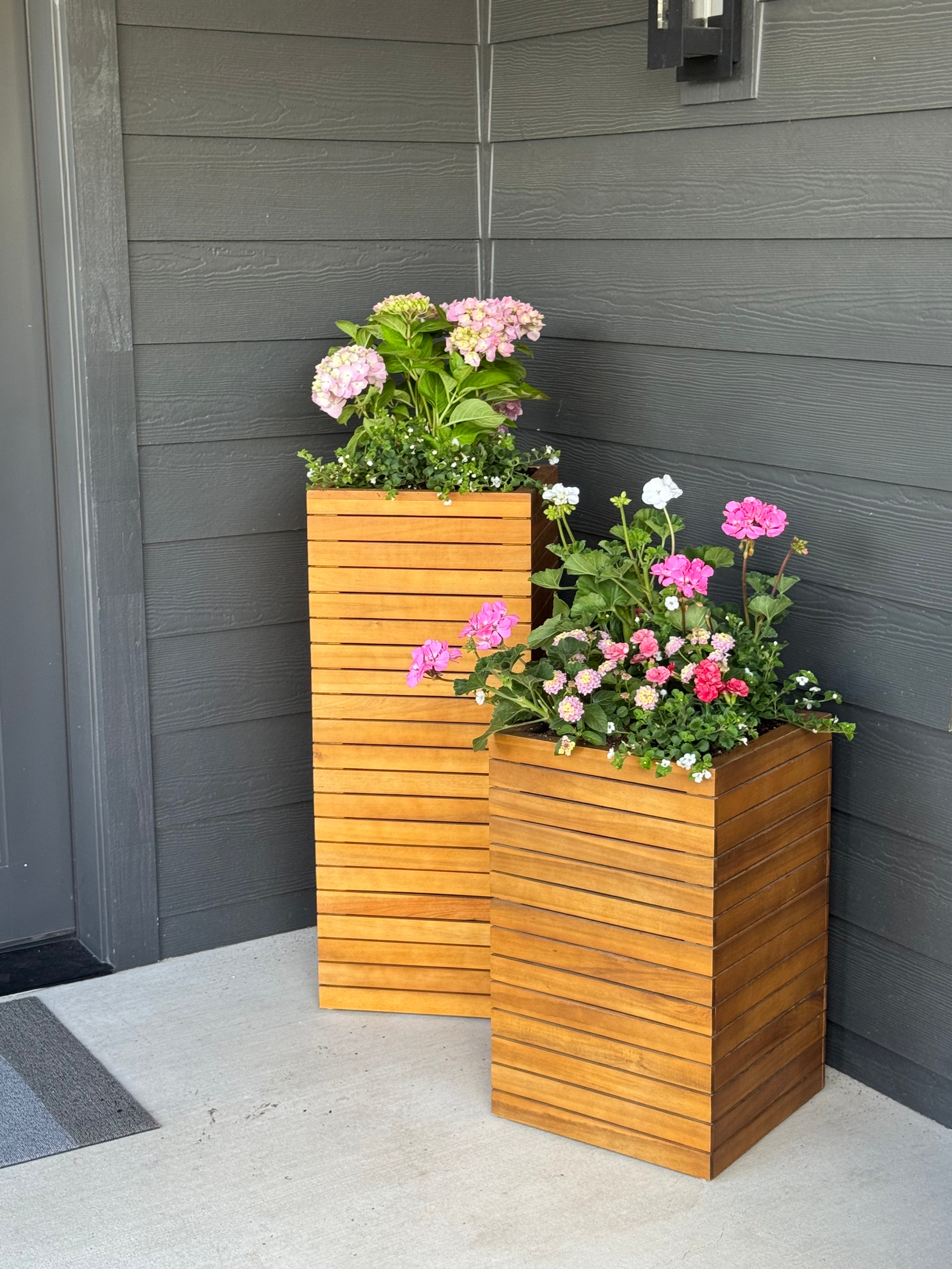 Potted Plant Subscription