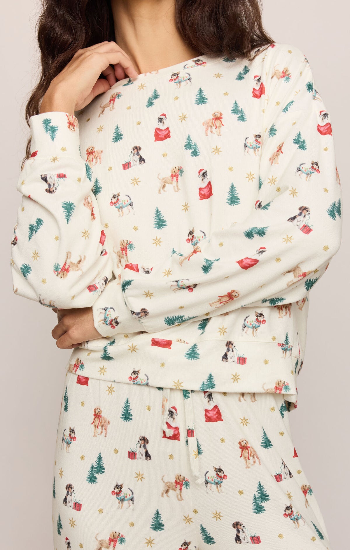Z Supply Pawfect Long Sleeve Top