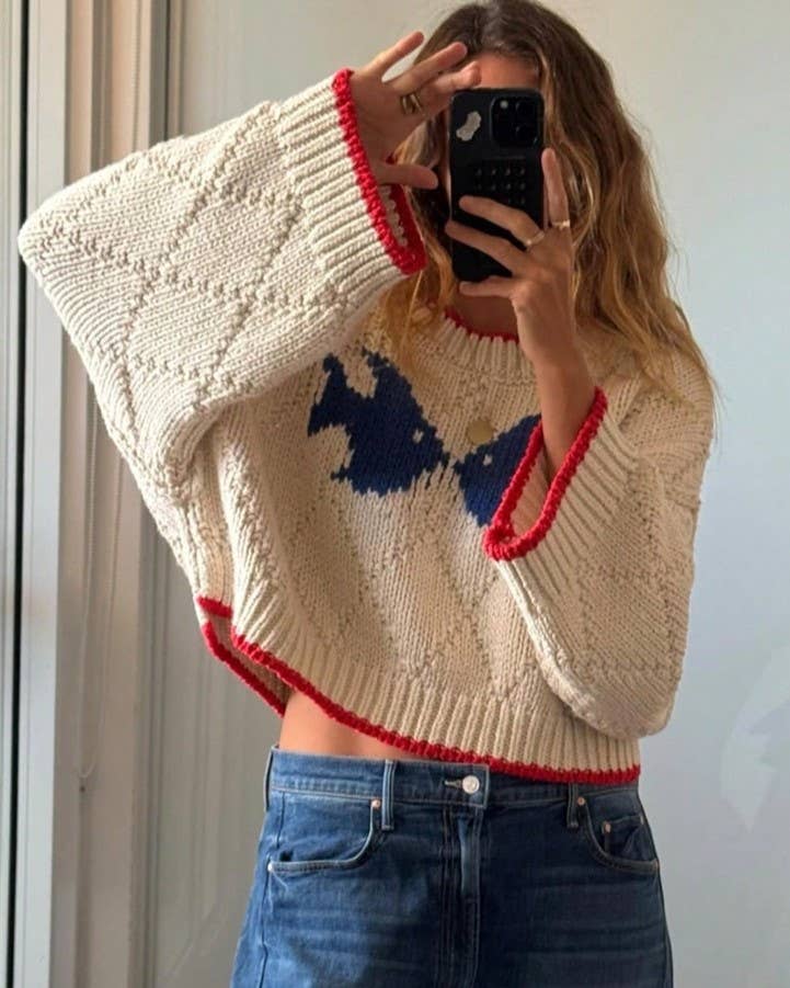 HIDDENBRAND - Ocean Fish Graphic Contrast Trim Crew Sweater