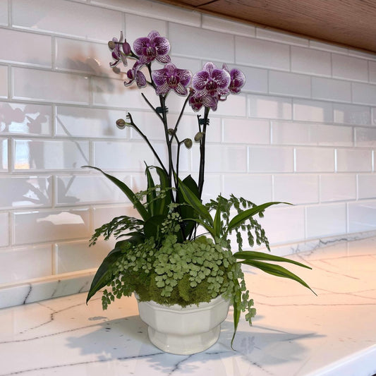Orchid Arrangement Workshop