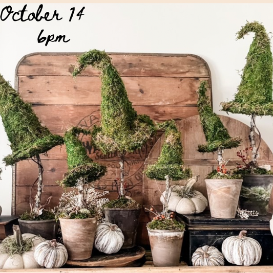 Witch Hat Topiary Workshop - October 14th
