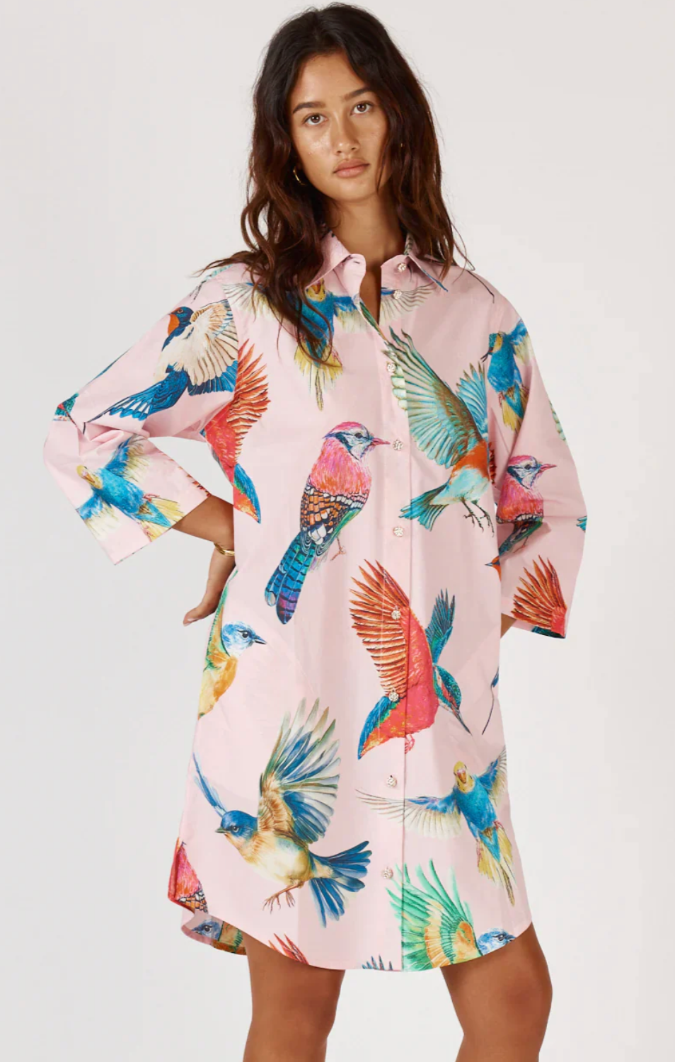 Rubyyaya Warbler Shirtmaker Dress
