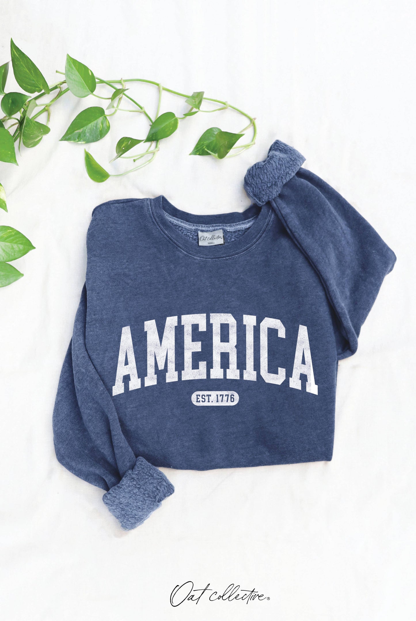 OAT COLLECTIVE - AMERICA EST 1776  Mineral Graphic Sweatshirt