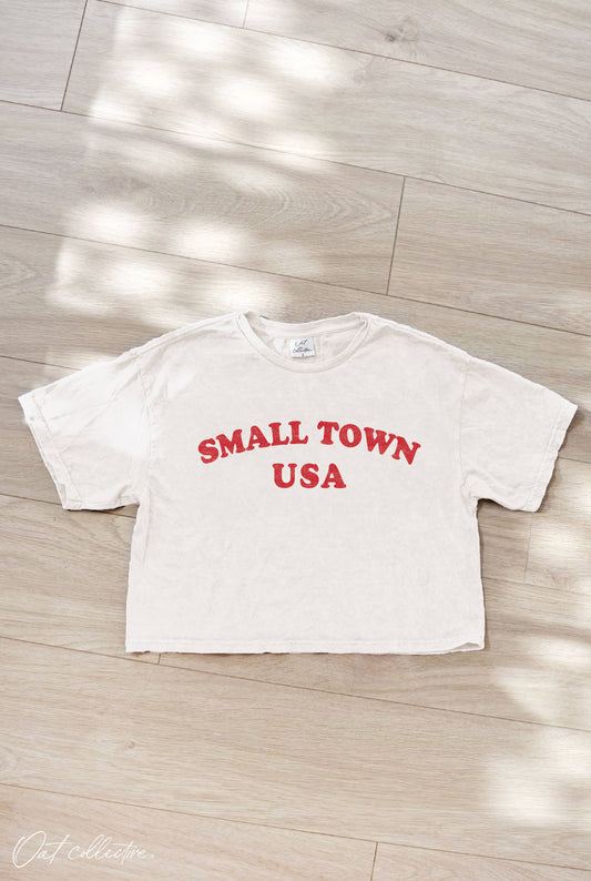 OAT COLLECTIVE - SMALL TOWN USA Cropped Mineral Graphic Top