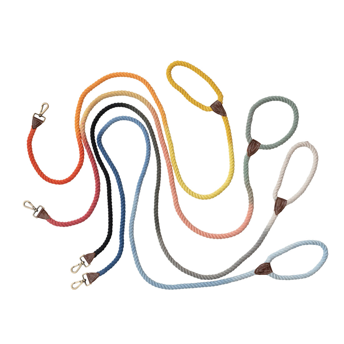 Braided Cotton Rope and Leather Dog Leash