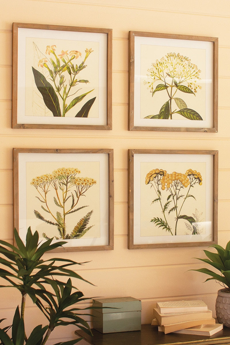 Framed Flower Prints Under Glass