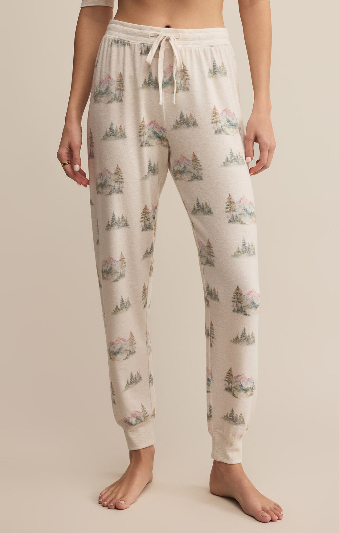 Z Supply - Overnight Road Trip Jogger