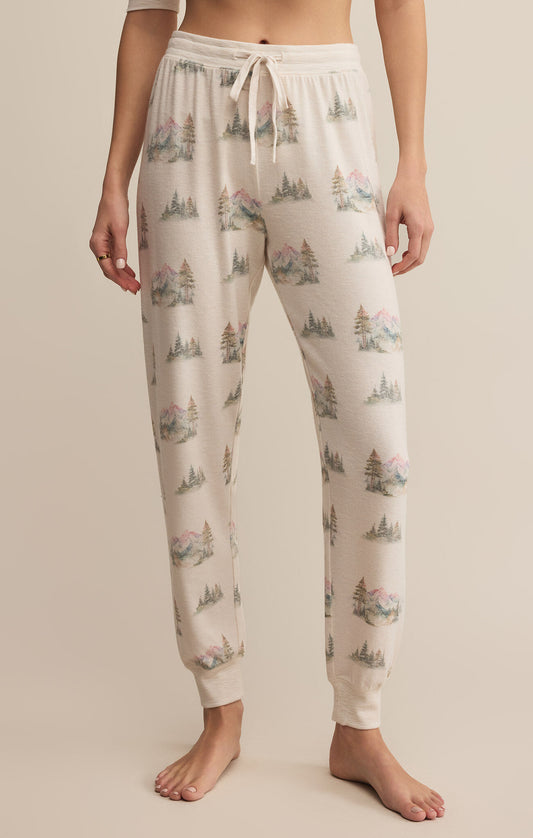 Z Supply - Overnight Road Trip Jogger