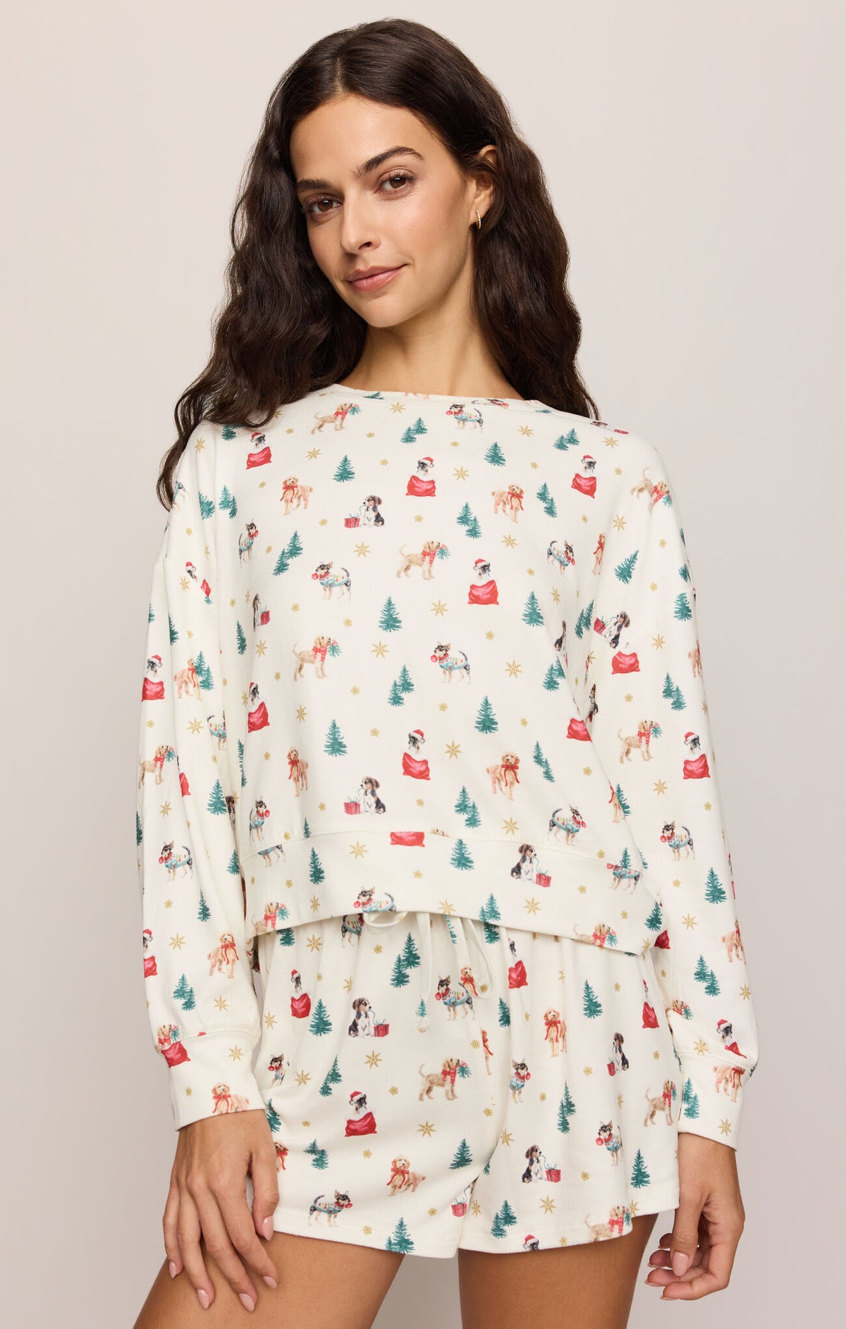 Z Supply Pawfect Long Sleeve Top